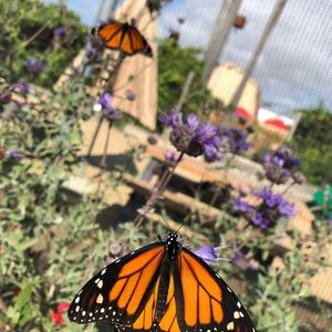 Meet your Posher, Zarina